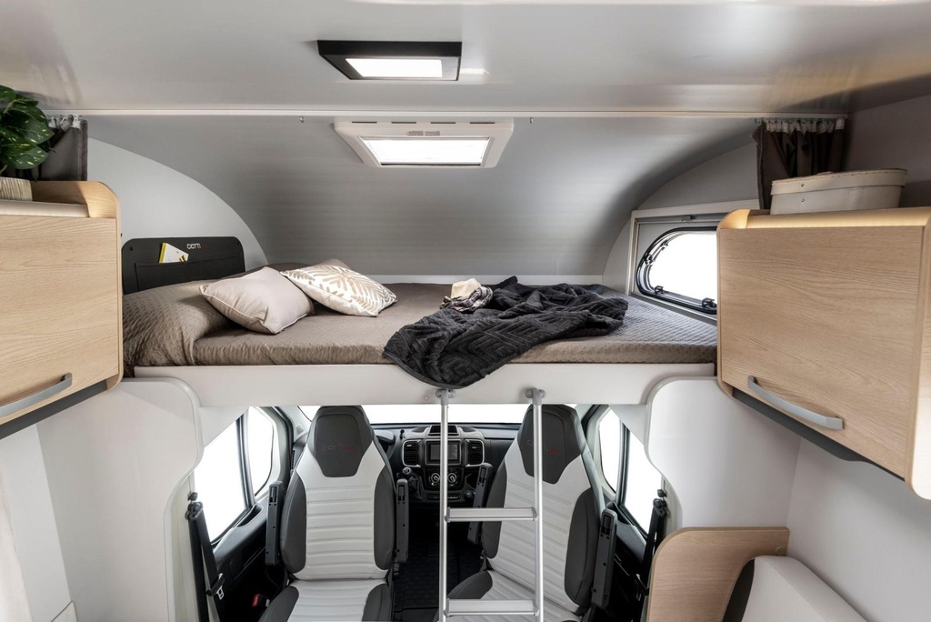 Giottiline Siena 485