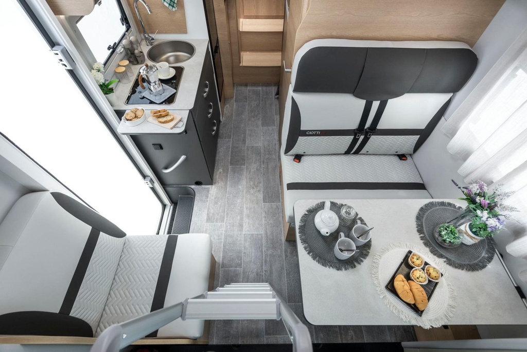 Giottiline Siena 485