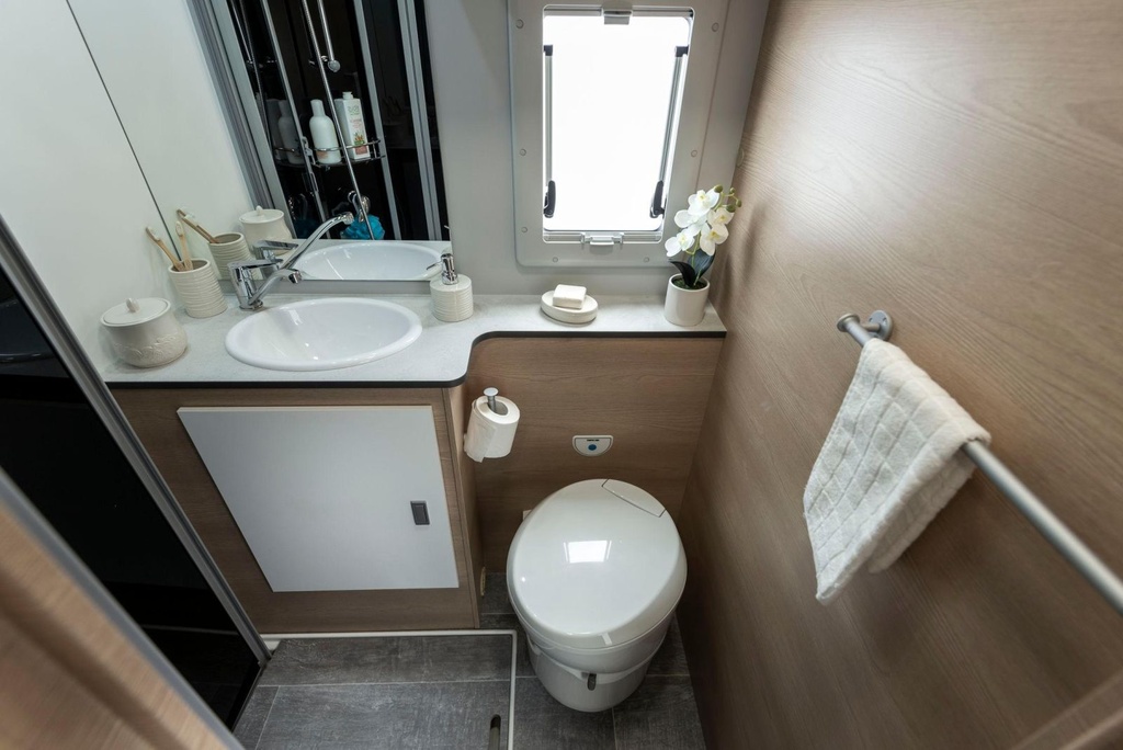 Giottiline Siena 485