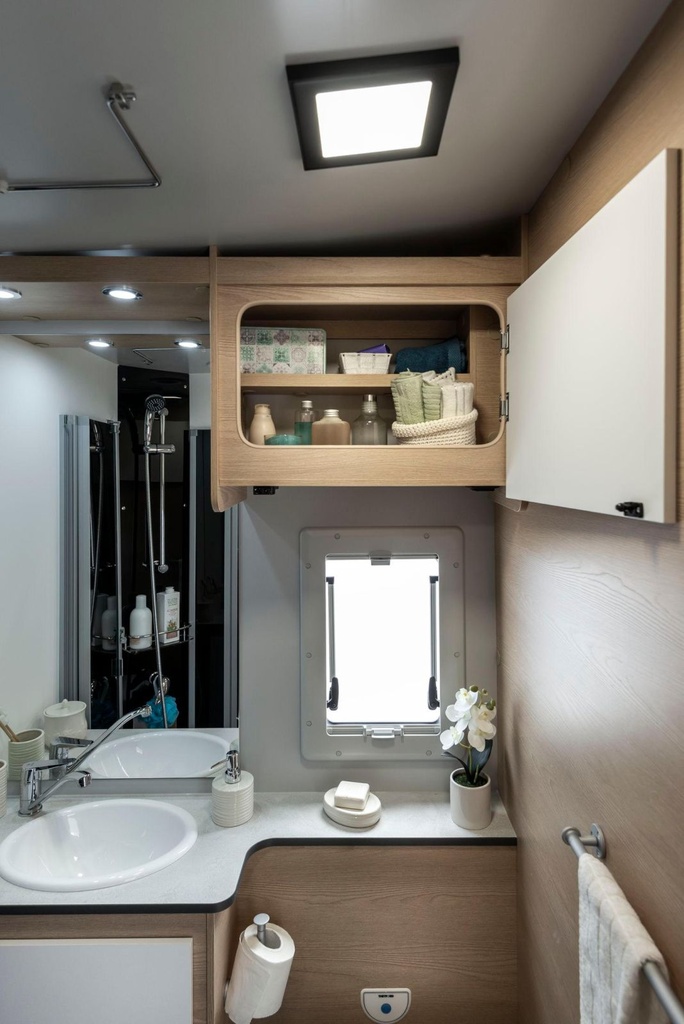 Giottiline Siena 485